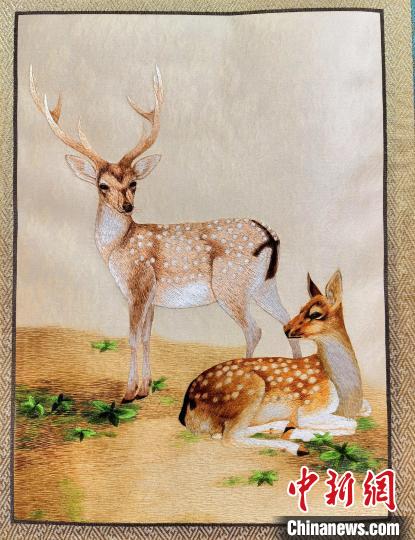 Изящные вышитые работы уезда Гуйнань в Тибете