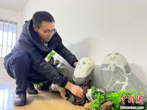 Китаец собрал 300 речных камней в виде большой панды