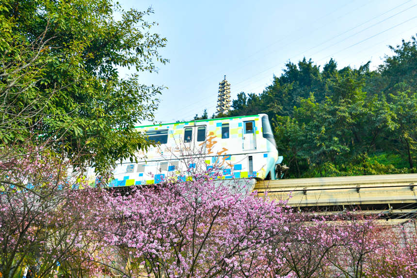 Электропоезд Чунцина: "Следующая станция – весна"