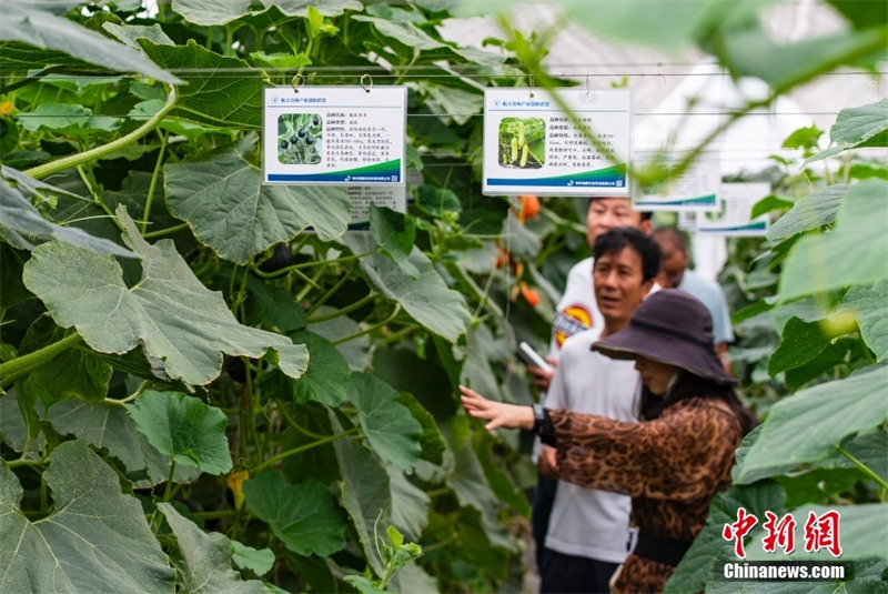 База космической селекции в Пекине