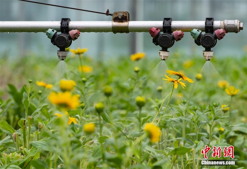 База космической селекции в Пекине