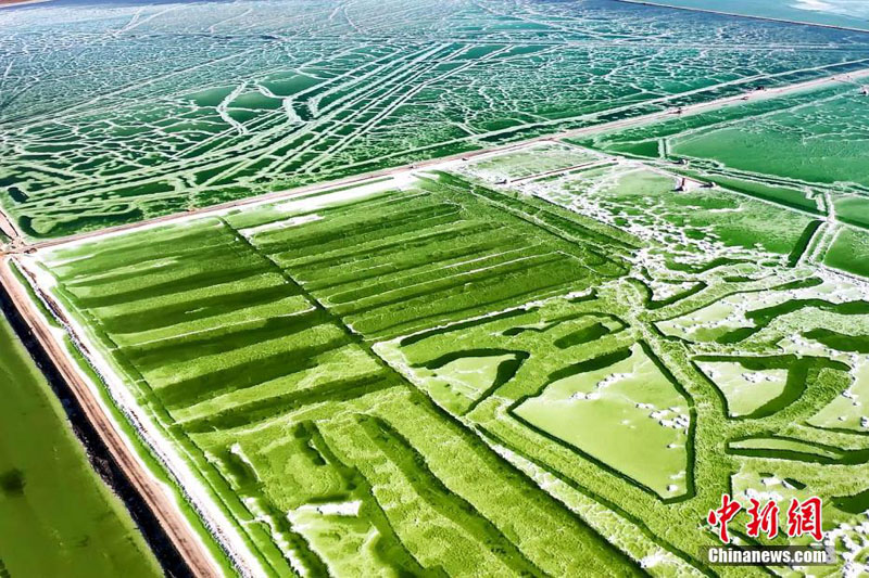 Изумрудное соленое озеро Кархан на северо-западе Китая