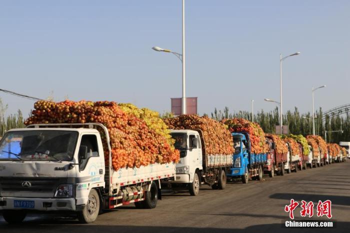 Яблоки из Аксу – ?сахарные леденцы? из подножья гор Тяньшань