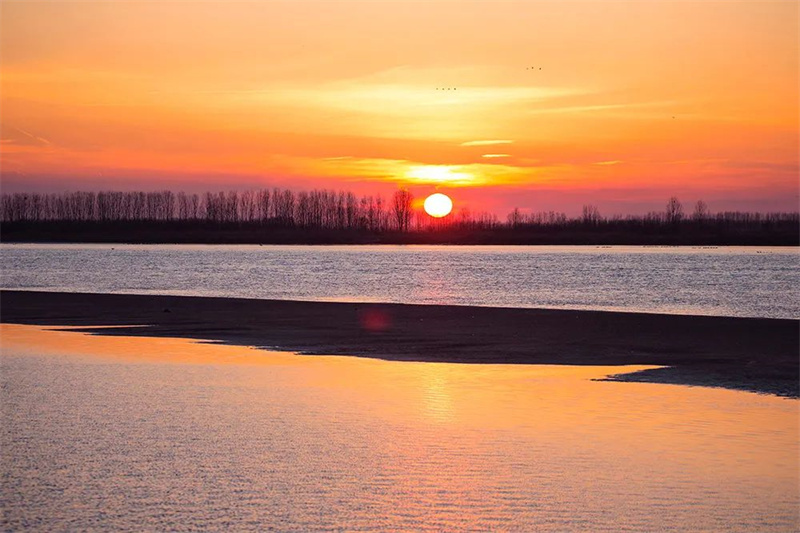 Город Дунъин прилагает усилия для восстановления водно-болотных угодий в дельте реки Хуанхэ