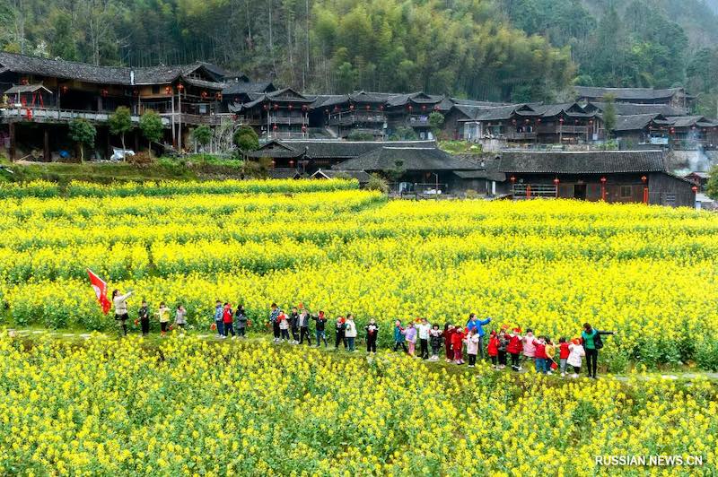 Море цветов рапса перед старинными домами на сваях