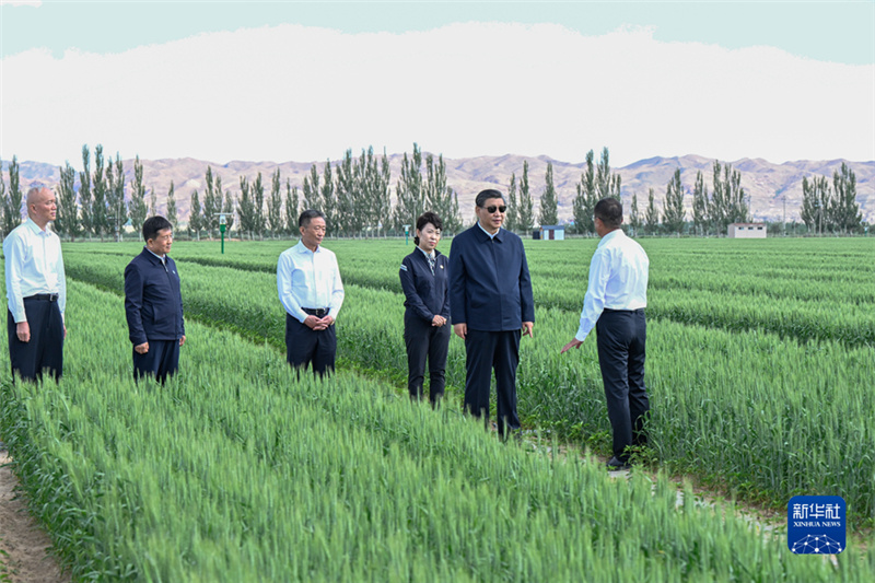 Си Цзиньпин призвал творить новые чудеса в борьбе с опустыниванием