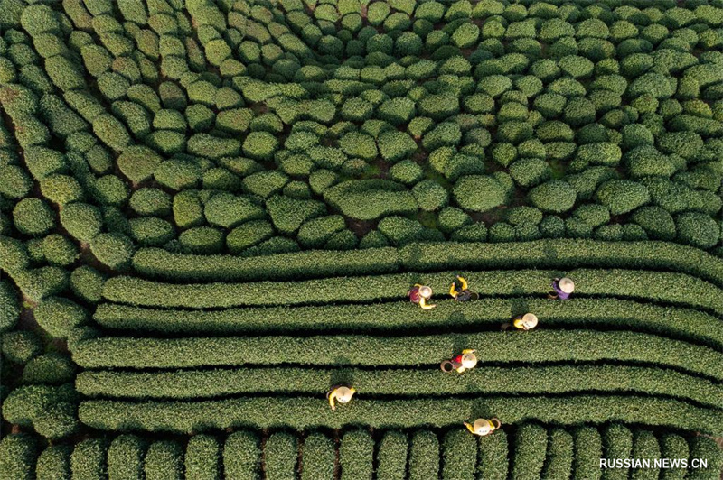 Вид на город проведения Азиатских игр Ханчжоу с высоты птичьего полета