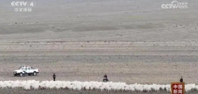 Сотрудники местной полиции в Синьцзяне сопровождают пастухов во время осеннего перегона скота