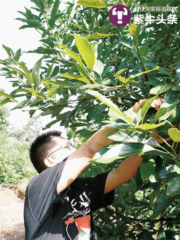 Молодой фермер из Китая покоряет интернет креативными фотографиями