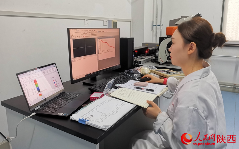 В Сиане работают ?врачи? для культурных реликвий