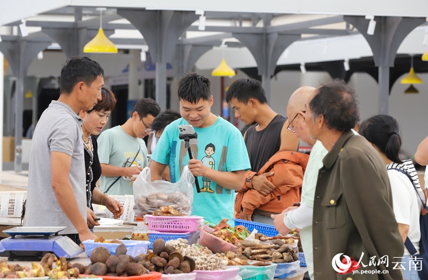 Китайский уезд Наньхуа зарабатывает 7,65 млрд юаней на съедобных грибах в год