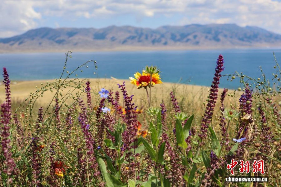 Экологические меры возвращают озеру Сайрам-Нур первозданную красоту