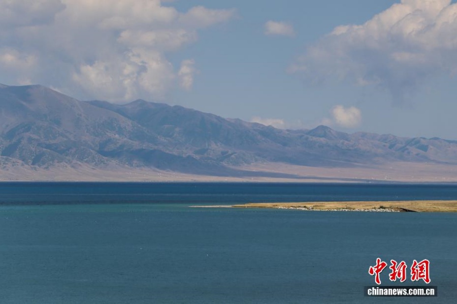 Экологические меры возвращают озеру Сайрам-Нур первозданную красоту