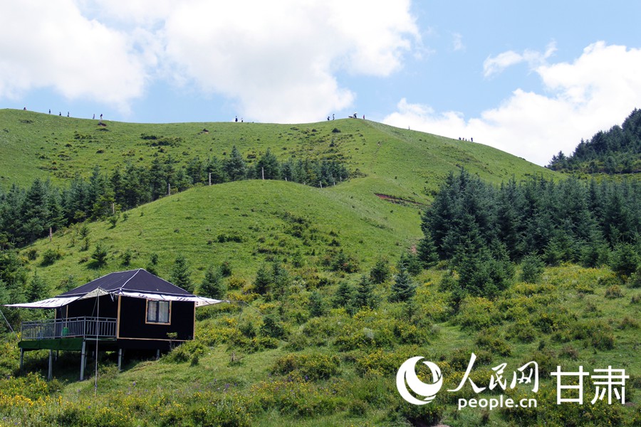 Живописное пастбище в провинции Ганьсу привлекает туристов