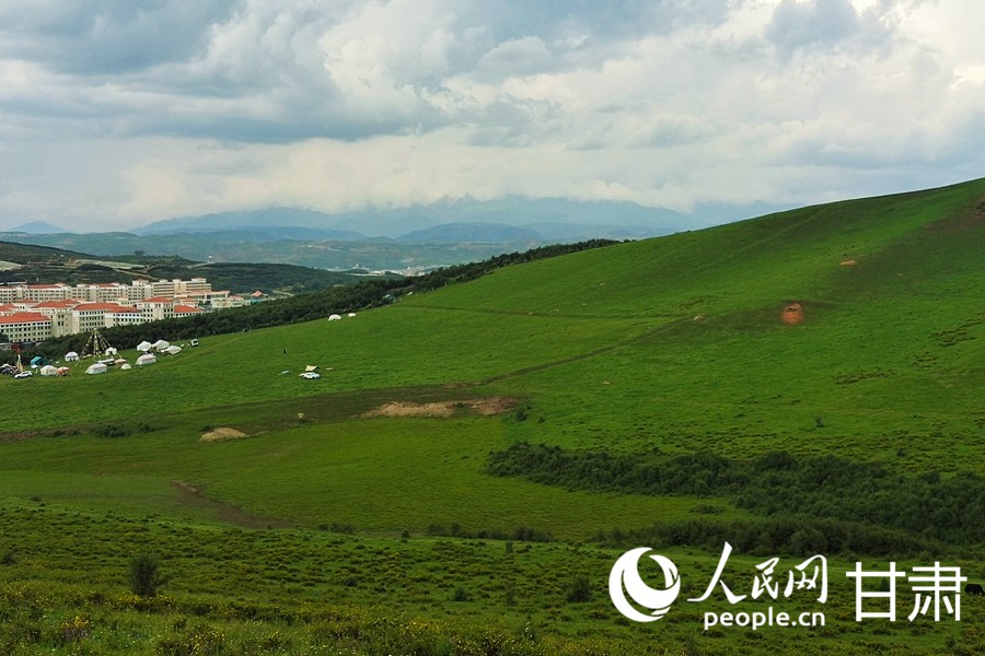 Живописное пастбище в провинции Ганьсу привлекает туристов