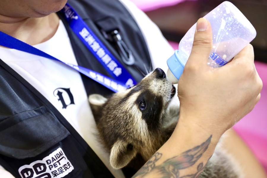 Азиатская выставка домашних животных открылась в Шанхае