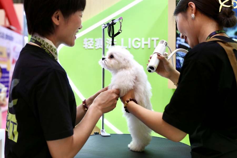 Азиатская выставка домашних животных открылась в Шанхае