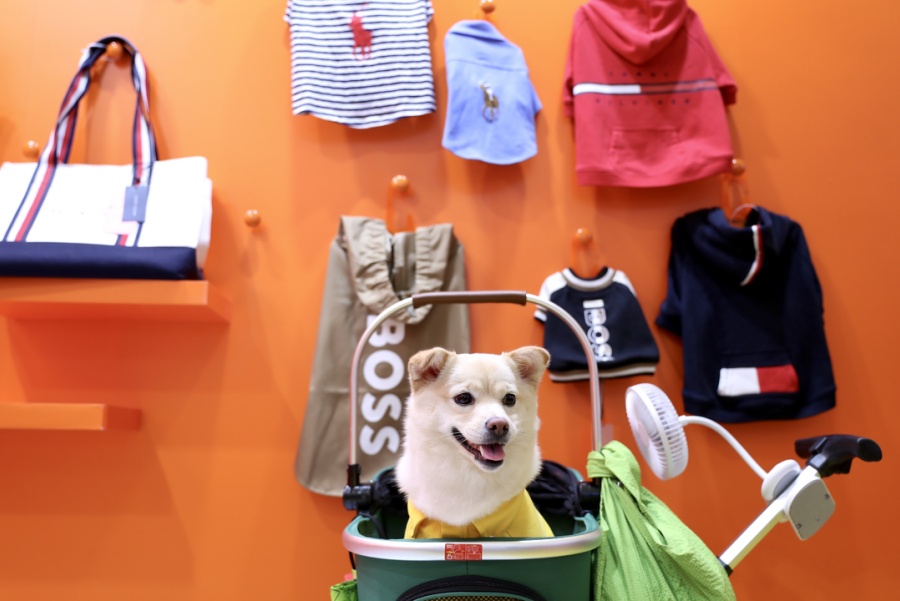 Азиатская выставка домашних животных открылась в Шанхае