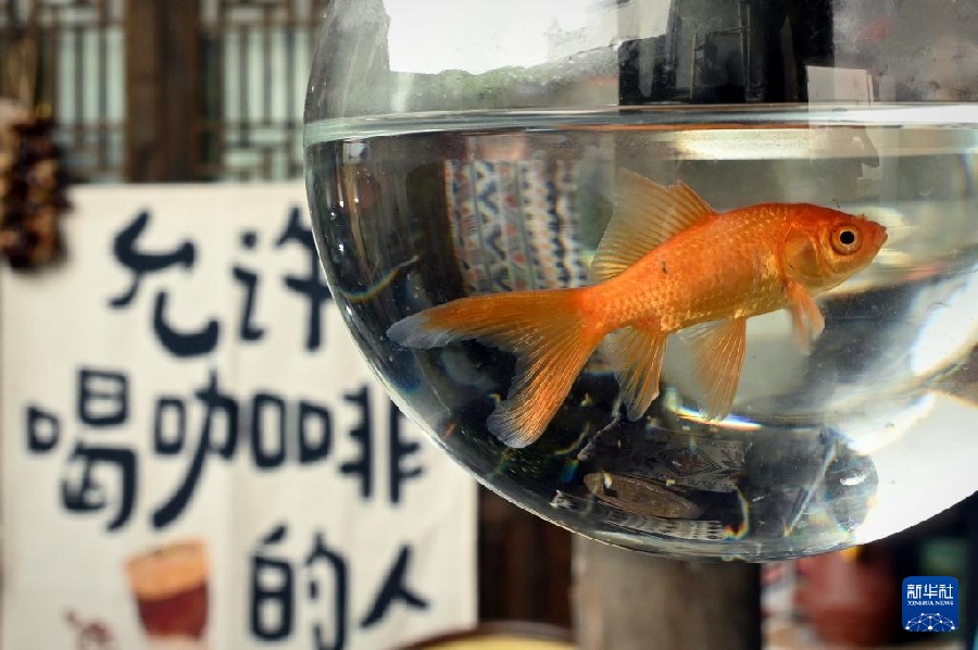 Деревня Лицзу: магия неторопливой жизни