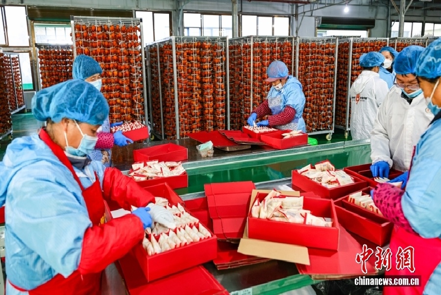 Уезд Фупин – китайский центр производства хурмы