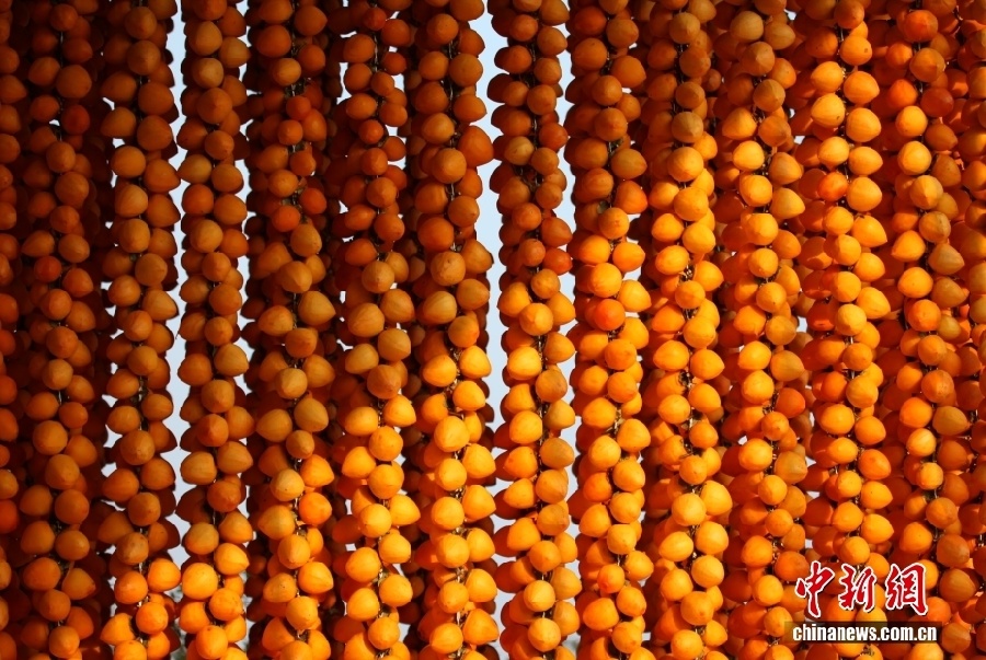 Уезд Фупин – китайский центр производства хурмы