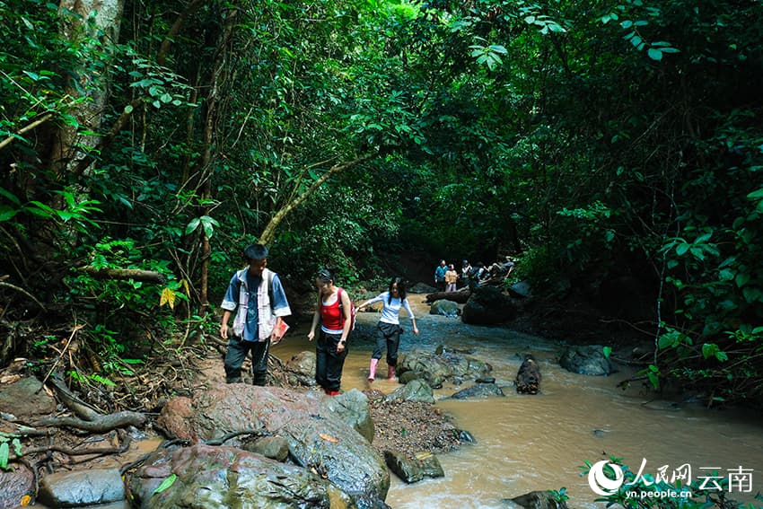 Пешеходный туризм в тропических лесах преобразовал волость Цзиношань