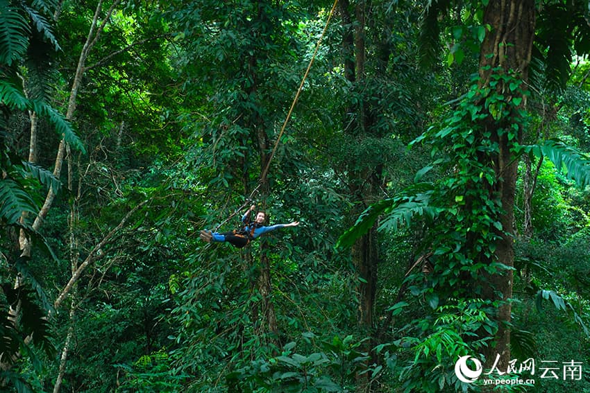 Пешеходный туризм в тропических лесах преобразовал волость Цзиношань