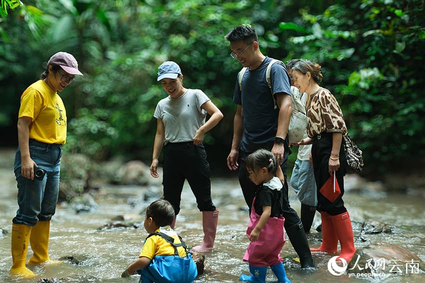 Пешеходный туризм в тропических лесах преобразовал волость Цзиношань