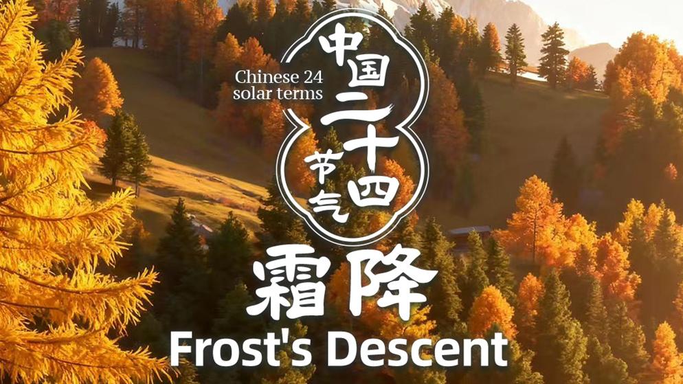 Красота сезонов китайского сельскохозяйственного календаря: ?Шуанцзян? – Выпадение инея
