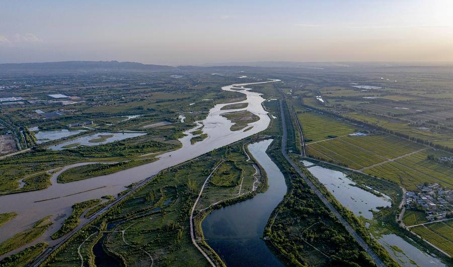 "Пояс золотых источников молока" Китая поставил партию из 87 коров элитной породы в Узбекистан