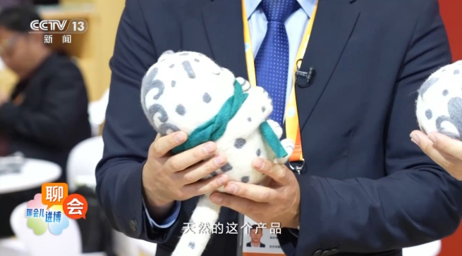 Национальный павильон Кыргызстана впервые представлен на Китайском международном импортном ЭКСПО