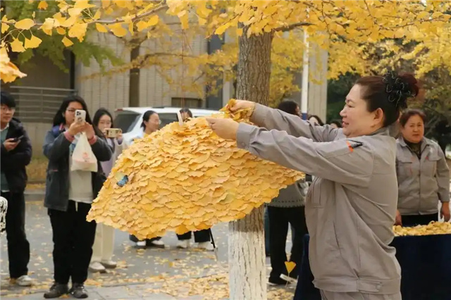 В Даляне уборщицы университета устроили осеннюю сказку из листьев гинкго