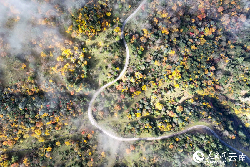 Яркие краски поздней осени провинции Юньнань