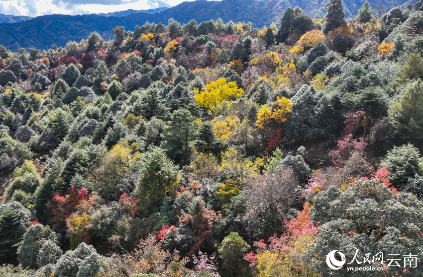 Яркие краски поздней осени провинции Юньнань