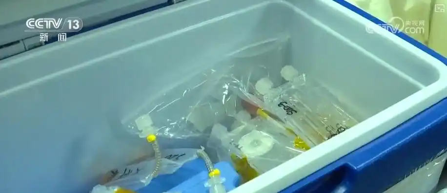 С китайской космической станции доставлена свежая партия образцов для исследований