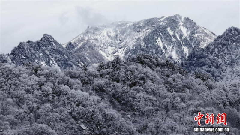 Первый снег преобразил пейзажи китайского горного массива Циньлин