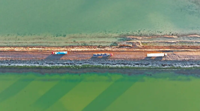 Годжи из Чайдама – ?золотые? плоды высокогорья