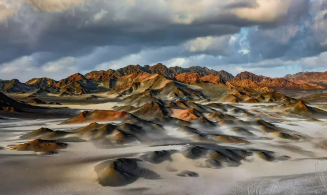 Годжи из Чайдама – ?золотые? плоды высокогорья