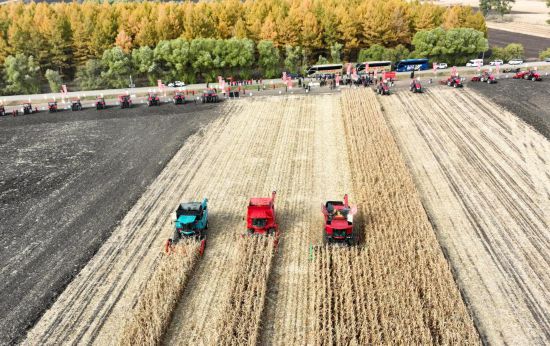 Китай укрепляет продовольственную безопасность с помощью технологий в зерноводстве